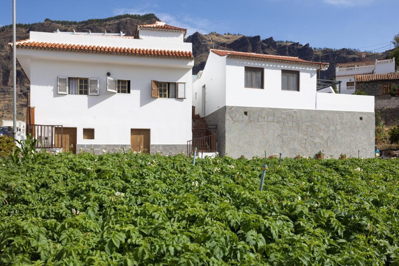 Апартаменти Casa Isabela With Roque Nublo View Техеда Екстер'єр фото