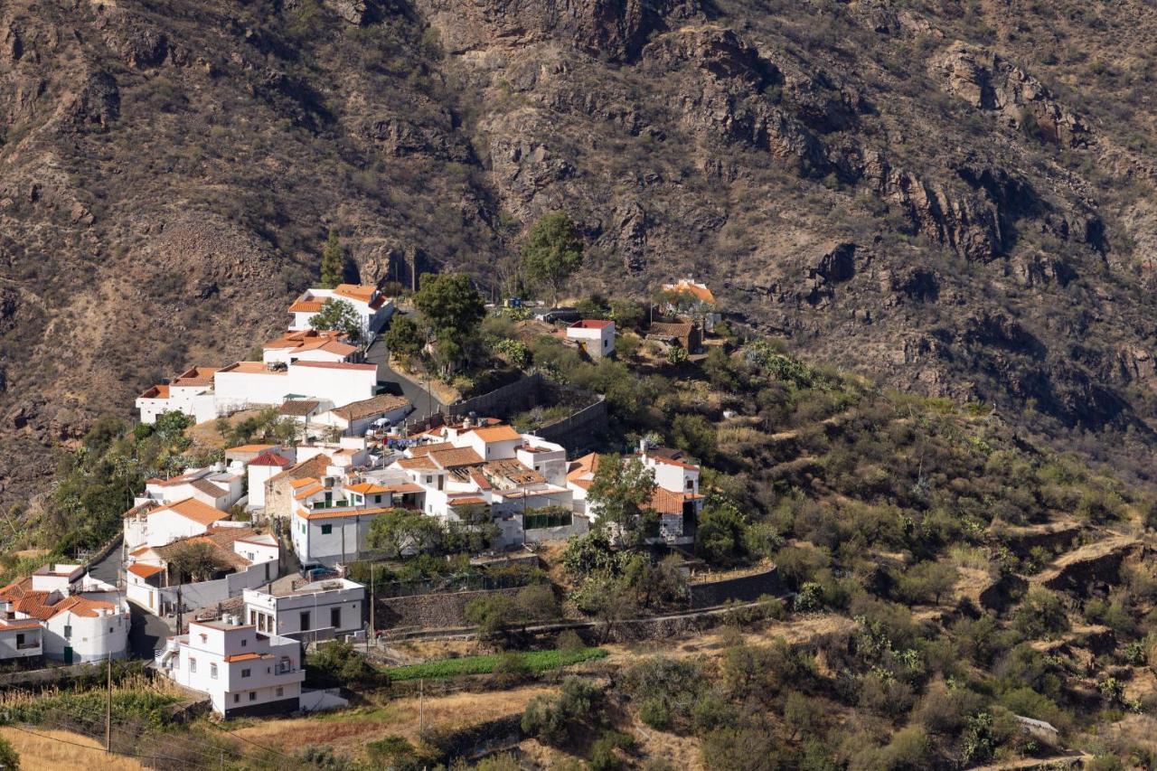 Апартаменти Casa Isabela With Roque Nublo View Техеда Екстер'єр фото