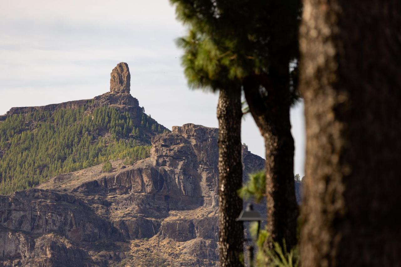 Апартаменти Casa Isabela With Roque Nublo View Техеда Екстер'єр фото